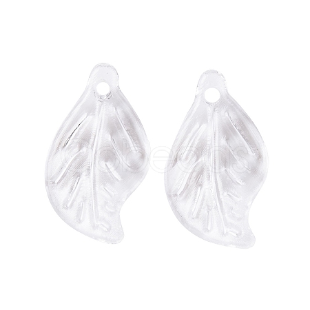 Transparent Acrylic Pendants TACR-G050-02B-1