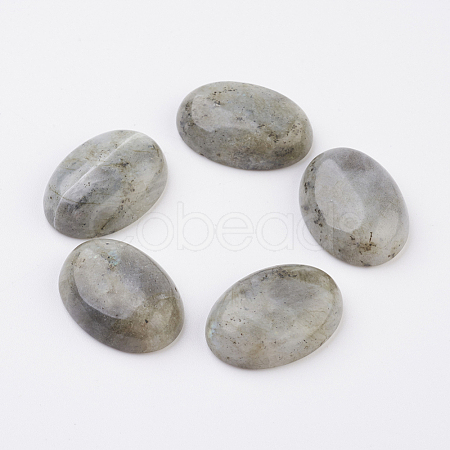 Natural Labradorite Flat Back Cabochons X-G-G741-13x18mm-18-1