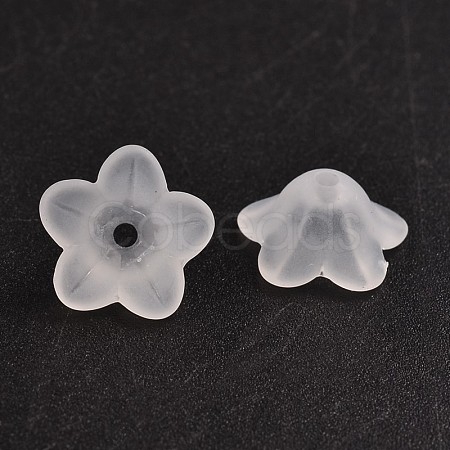 Transparent Acrylic Beads PL560-1