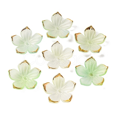 Transparent Acrylic Bead Caps TACR-P011-03A-1