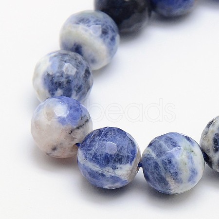 Natural Sodalite Beads Strands G-L149-10mm-01-1