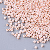 FGB 11/0 Grade A Glass Seed Beads SEED-S030-1493-2