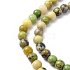 Natural Serpentine Beads Strands G-N166-4-3