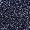 MIYUKI Round Rocailles Beads SEED-G007-RR0171-3