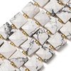 Natural Howlite Beads Strands G-F839-A35-01-2