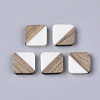 Resin & Walnut Wood Cabochons LS-RESI-S358-A-90G-1