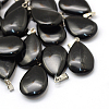 Teardrop Natural Black Stone Pendants G-Q368-13-1
