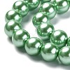 Eco-Friendly Dyed Glass Pearl Round Beads Strands HY-A002-12mm-RB008N-3