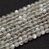 Natural Grey Moonstone Beads Strands G-F306-07-6mm-1