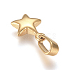 304 Stainless Steel Charms STAS-I127-067G-01-2