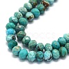 Natural HuBei Turquoise Beads Strands G-G106-A44-03-3