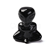 Natural Obsidian Display Decorations DJEW-P019-E01-2