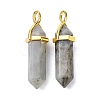 Natural Labradorite Pointed Pendants G-G025-01G-38-2