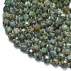 Natural African Turquoise(Jasper)  Beads Strands G-K389-A49-01-3