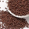 6/0 Glass Seed Beads SEED-J014-F6-46-1