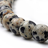 Natural Dalmatian Jasper Beads Strands G-S259-24-12mm-3