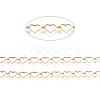 3.28 Feet Brass Handmade Beaded Chains X-CHC-I031-21G-1