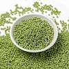 MIYUKI Round Rocailles Beads SEED-JP0009-RR0439-2