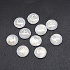 Shell Cabochons SSHEL-E568-B08-2
