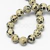 Natural Dalmatian Jasper Stone Bead Strands G-R193-14-4mm-2