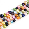 Natural Cultured Freshwater Pearl Beads Strands PEAR-N014-04J-2