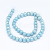 Natural Cultured Freshwater Pearl Beads Strands PEAR-G004-10-01-2