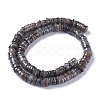 Natural Freshwater Shell Beads Strands X-BSHE-I016-04A-2