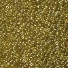 6/0 Glass Seed Beads SEED-A006-4mm-110-2