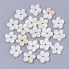 Natural Freshwater Shell Beads SHEL-T017-04-1