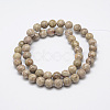Natural Fossil Coral Beads Strands X-G-P325-01-8mm-2