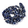 Natural Lapis Lazuli Beads Strands G-G011-05B-3