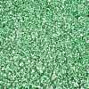 6/0 Baking Paint Transparent Fringe Glass Seed Beads X1-SEED-N006-06K-3