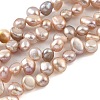 Natural Cultured Freshwater Pearl Beads Strands PEAR-A006-19A-2