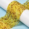 Transparent Glass Beads Strands GLAA-H027-01H-2