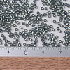 MIYUKI Delica Beads SEED-X0054-DB0697-4