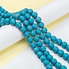 Natural Howlite Beads Strands G-C180-15B-4