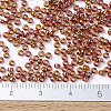 MIYUKI Round Rocailles Beads X-SEED-G007-RR0257-4