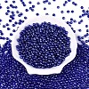 Transparent Glass Seed Beads SEED-N007-33A-08-2