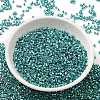 Electroplate Glass Seed Beads SEED-S042-01B-17-2