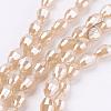 Electroplate Glass Beads Strands EGLA-J013-4X6mm-F18-1