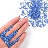 8/0 Glass Seed Beads SEED-A012-3mm-123B-4