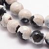 Natural Fire Crackle Agate Bead Strands G-K166-06F-10mm-12-3