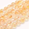 Natural Citrine Beads Strands G-O166-10-6mm-1