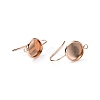 304 Stainless Steel Earring Hooks STAS-F271-01B-RG-3