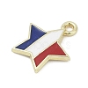 Independence Day Alloy Enamel Charms PALLOY-V001-07A-2