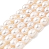 Natural Cultured Freshwater Pearl Beads Strands PEAR-I007-01F-06A-2