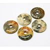 Donut/Pi Disc Natural Gemstone Pendants G-L234-40mm-06-1