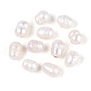 Natural Cultured Freshwater Pearl Beads PEAR-R064-102-4