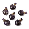 Natural Amethyst Pendants G-H252-C03-01-1