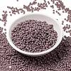MIYUKI Round Rocailles Beads X-SEED-G008-RR0410-2
